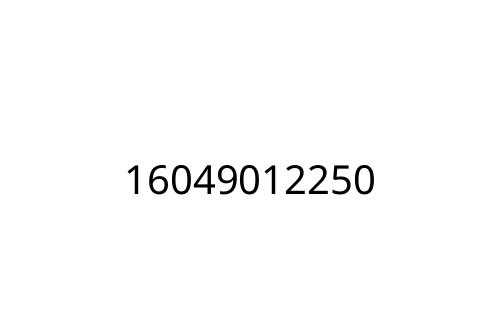 16049012250
