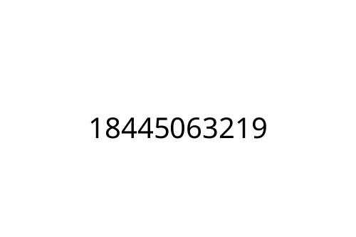 18445063219
