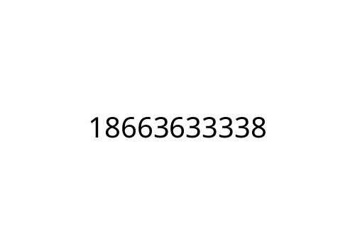 18663633338