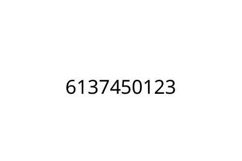 6137450123