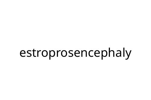 estroprosencephaly