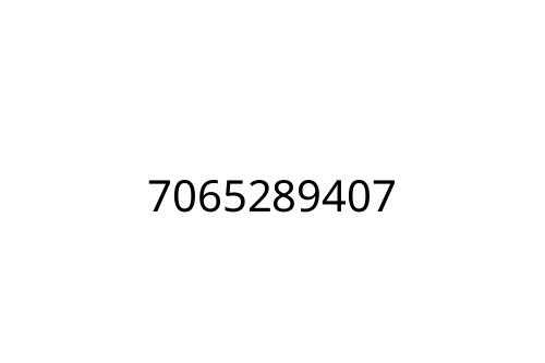 7065289407