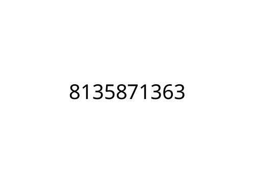 8135871363