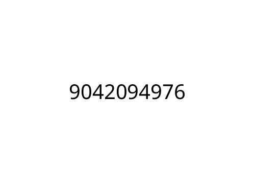 9042094976