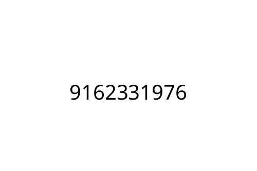 9162331976