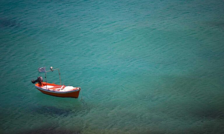 is lescohid herbicide the best for grass