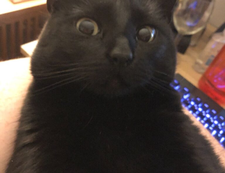 why immorpos35.3 software implementations fail