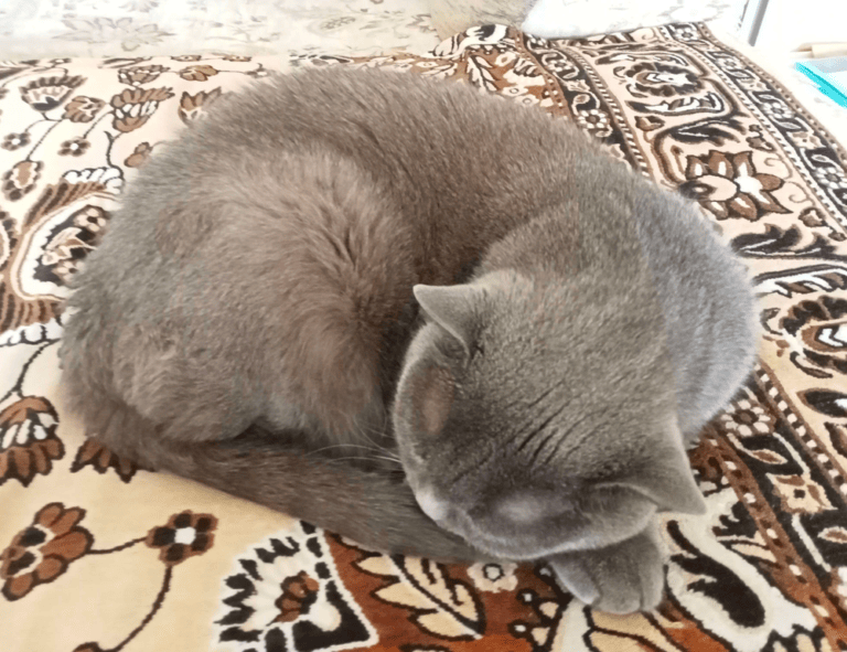 1080p badass itachi wallpaper