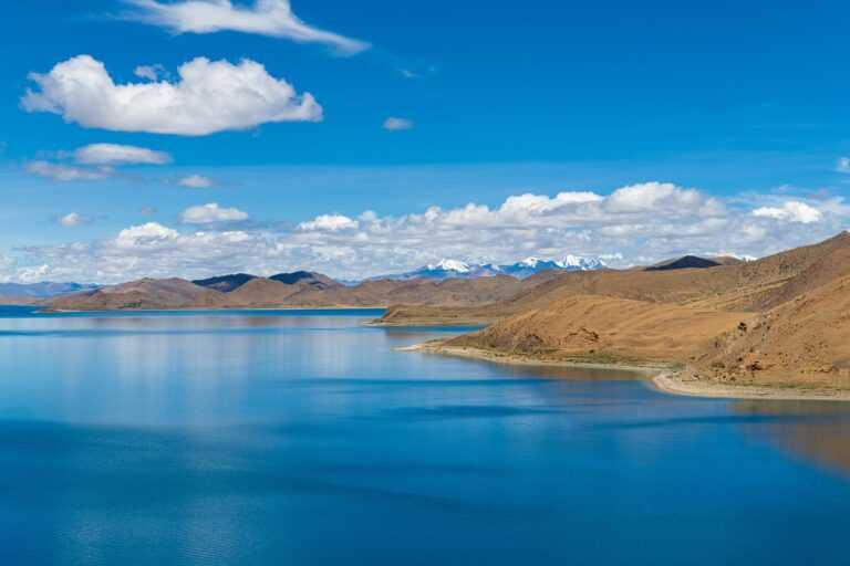 andreea bostanica inaltime