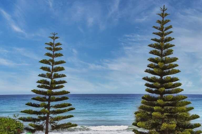 bff tekenen makkelijk in stappen