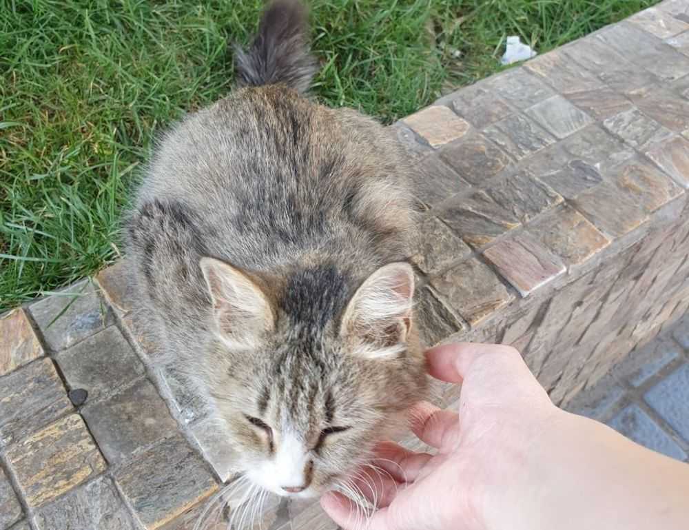 letras antiguas bonitas