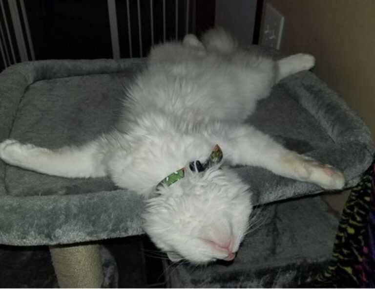 middenscheiding taper fade