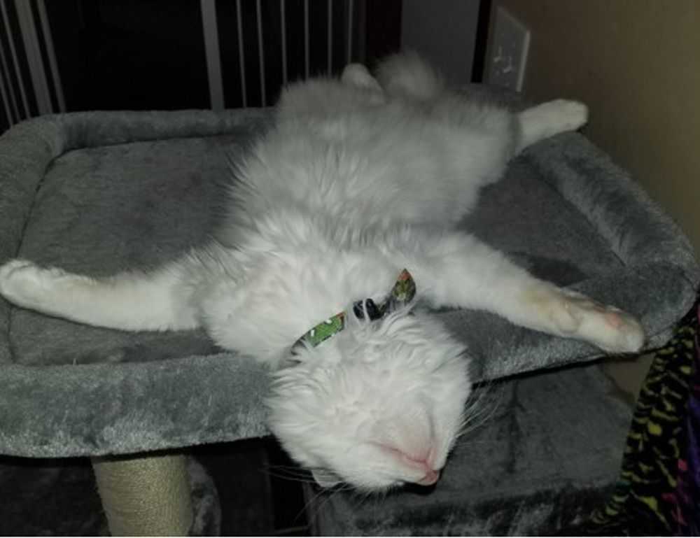 middenscheiding taper fade