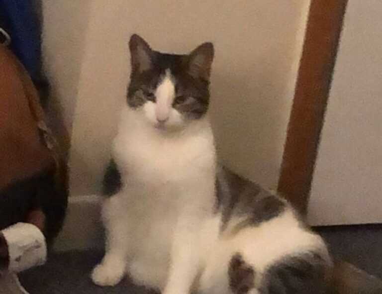 molly and jordy onlyfans