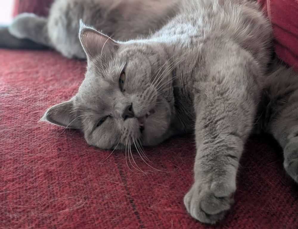 virtuosa feliz dia de la mujer dios te bendiga