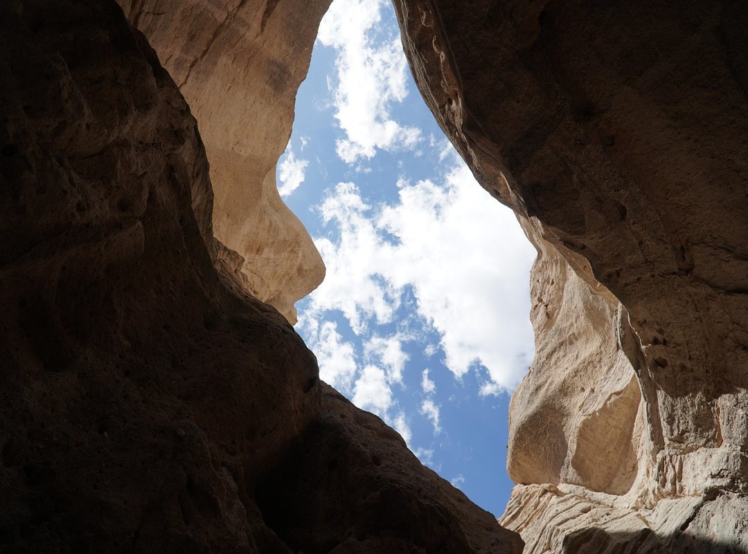 Health Advice Shmghealth