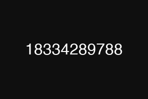 18334289788
