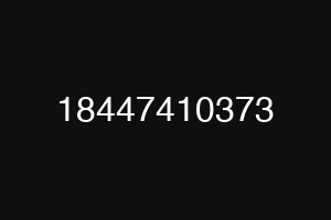 18447410373