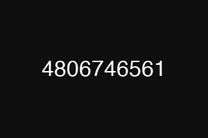 4806746561