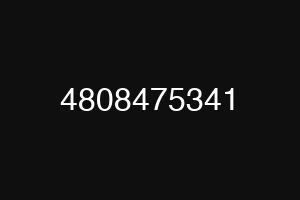 4808475341