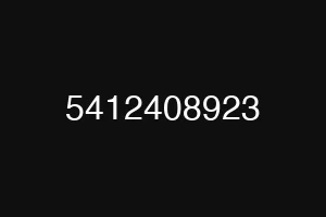 5412408923