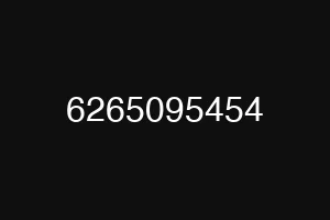 6265095454