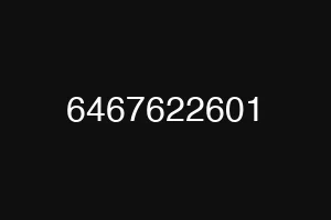 6467622601