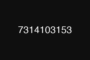 7314103153