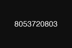 8053720803