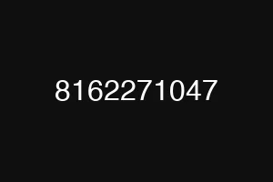 8162271047