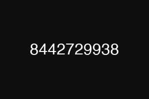 8442729938