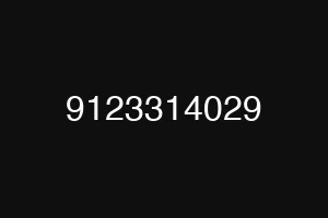 9123314029