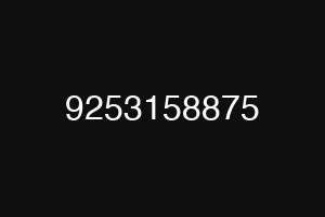 9253158875