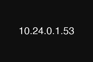 10.24.0.1.53