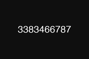 3383466787
