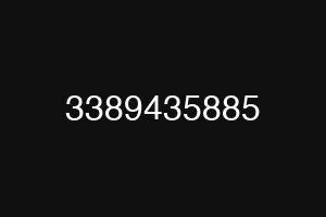 3389435885