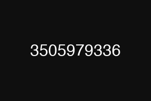 3505979336