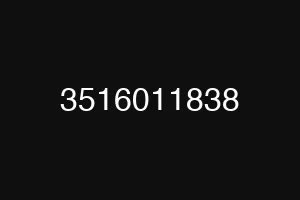 3516011838