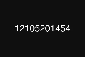 12105201454
