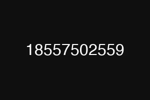 18557502559