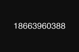 18663960388