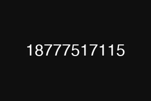 18777517115