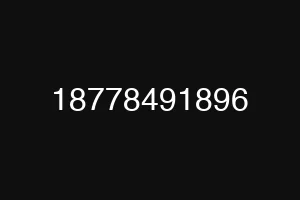 18778491896