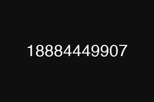 18884449907
