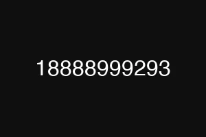 18888999293