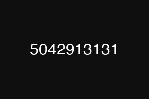 5042913131