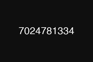 7024781334
