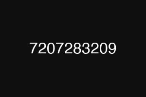 7207283209