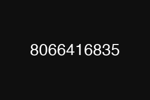 8066416835