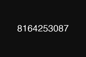 8164253087